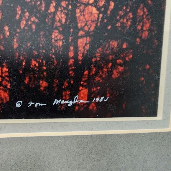 Thomas D. Mangelsen Collector Edition Print of Sandhill Cranes Images of Nature - Picture 3 of 15